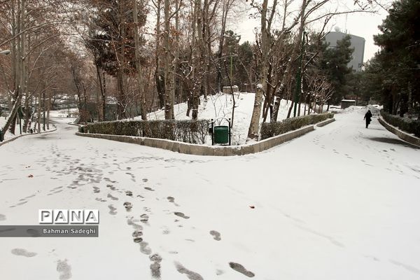 بارش برف زمستانی در تهران
