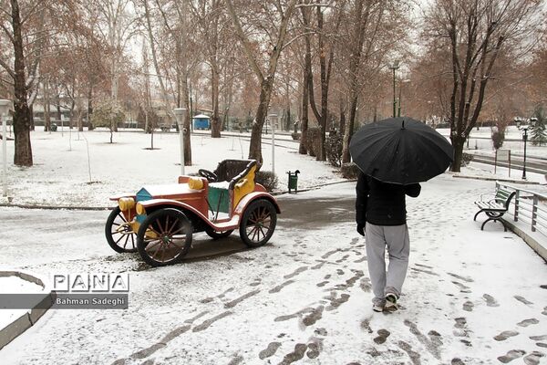بارش برف زمستانی در تهران