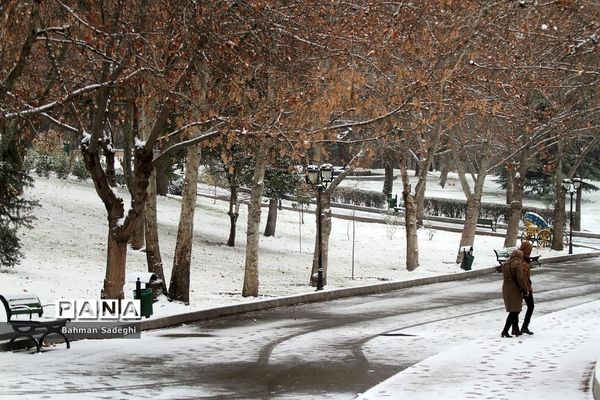 بارش برف زمستانی در تهران
