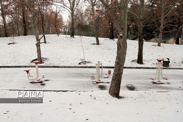 بارش برف زمستانی در تهران