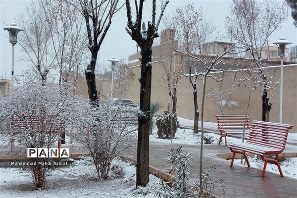 رخت سفید برف  بر تن  نایین