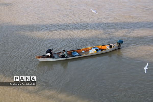 کارون؛ میزبان مهاجران مدیترانه‌ای