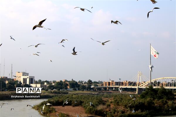 کارون؛ میزبان مهاجران مدیترانه‌ای