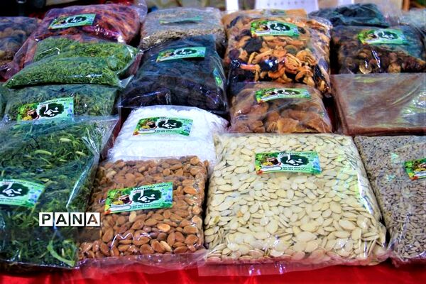 افتتاح نمایشگاه صنایع‌دستی، محصولات خانگی و غذای محلی در ابرکوه