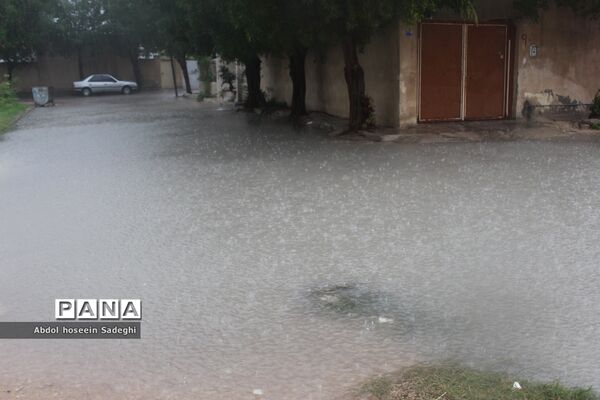 بارش باران و آبگرفتگی معابر در بوشهر