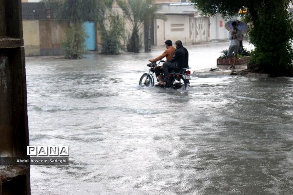 بارش باران و آبگرفتگی معابر در بوشهر