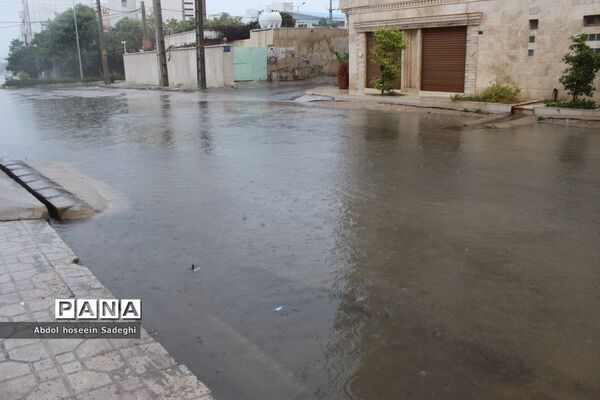 بارش باران و آبگرفتگی معابر در بوشهر