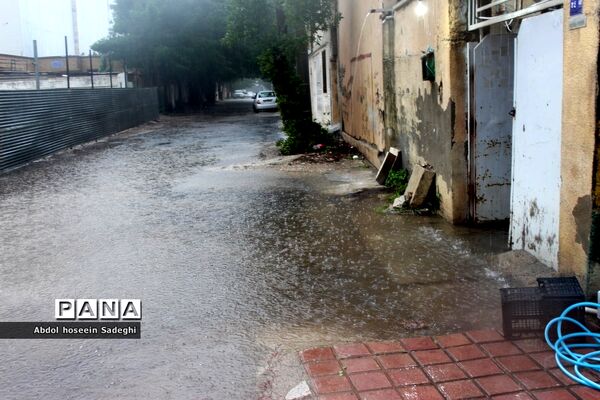 بارش باران و آبگرفتگی معابر در بوشهر