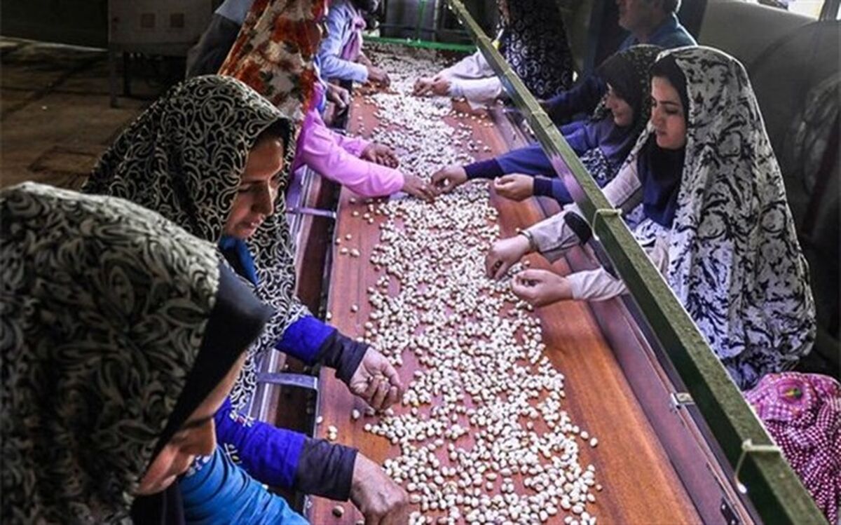 پرداخت تسهیلات اشتغالزایی در مناطق روستایی جلفا
