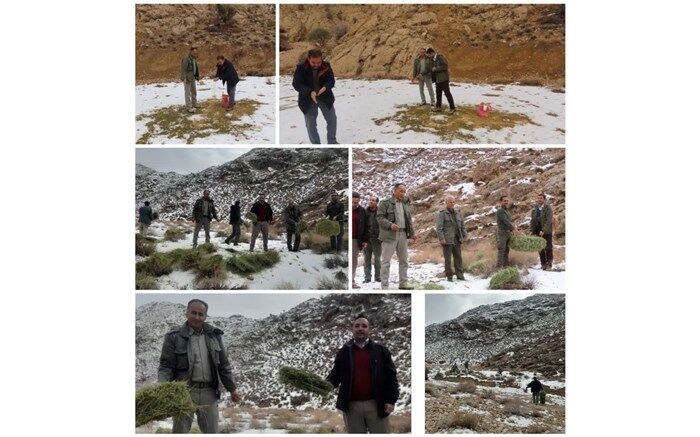فرماندارانی که در عمل مهربانی با حیات وحش را فرهنگ‌سازی کردند