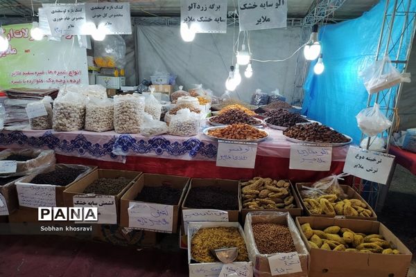 برپایی نمایشگاه صنایع‌دستی و سوغات در مارلیک ملارد