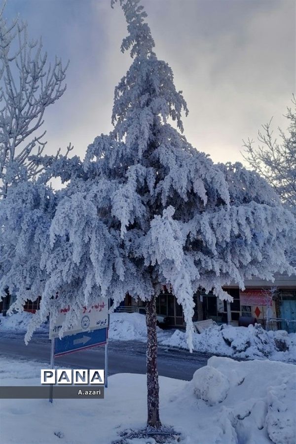 نقاشی زیبای طبیعت با بارش برف در شهرستان بن