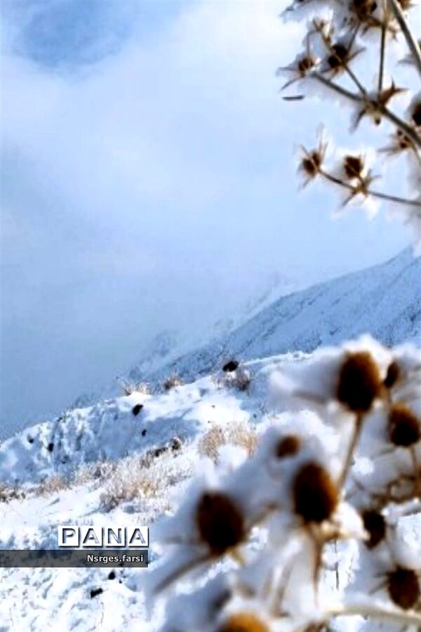 طبیعت برفی روستای «ونان» قم