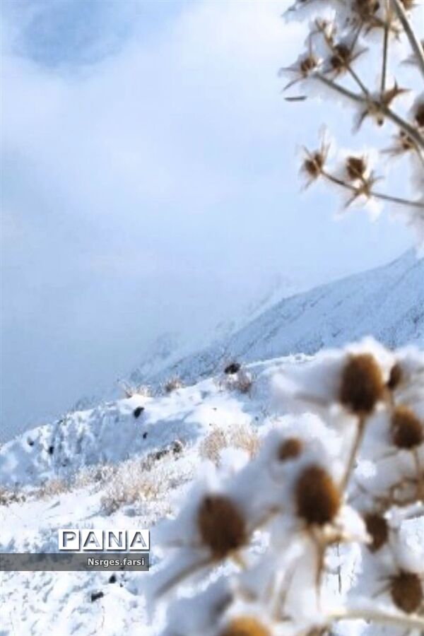 طبیعت برفی روستای «ونان» قم
