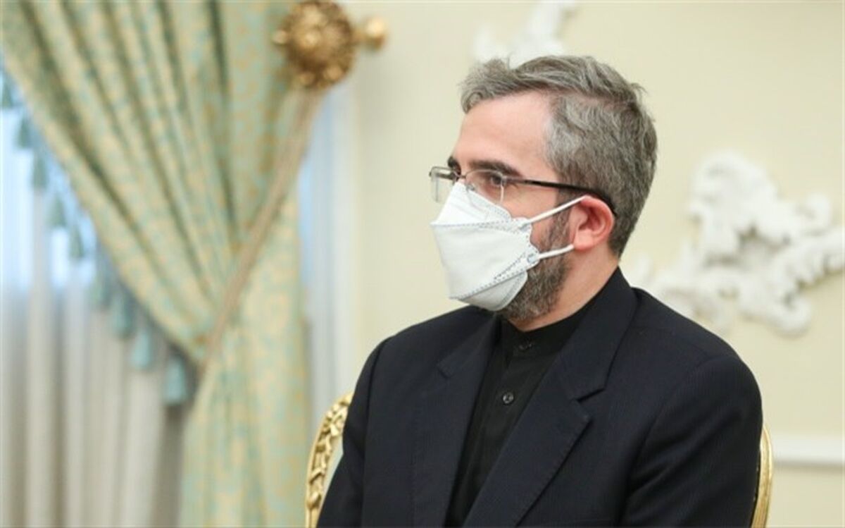 باقری با وزیر خارجه نیجر دیدار کرد