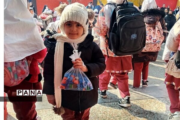 خرید یک ویلچر هدیه با جمع‌آوری درب بطری‌های پلاستیکی