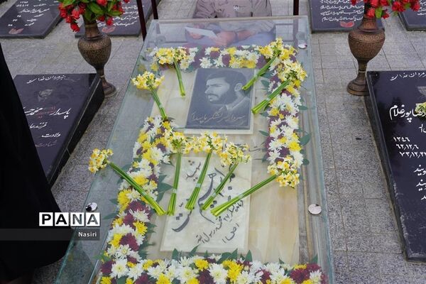 افتتاحیه طرح کشوری سردار شهید حاج همت در شهرستان شهرضا