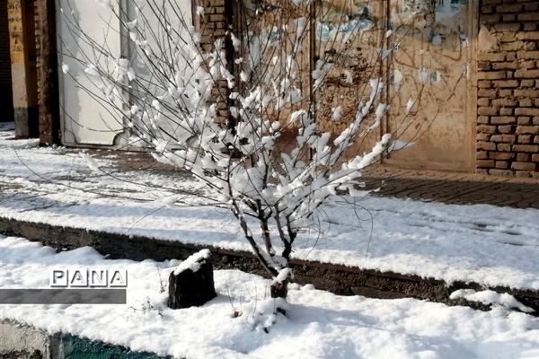 بارش سومین برف زمستانی چهره شهرستان بهاباد را سفید پوش کرد