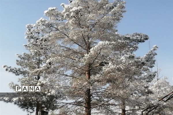 بارش سومین برف زمستانی چهره شهرستان بهاباد را سفید پوش کرد