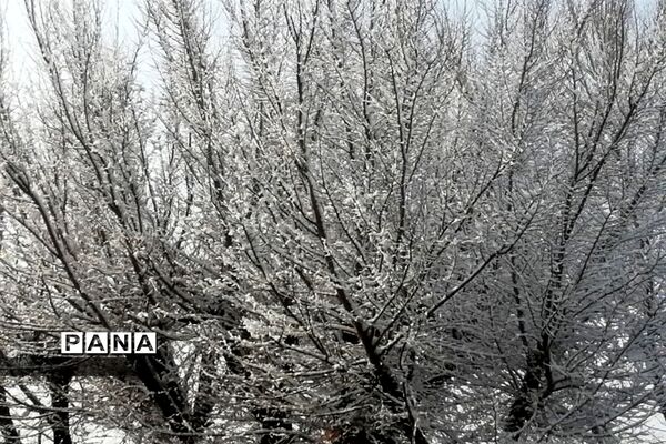 بارش سومین برف زمستانی چهره شهرستان بهاباد را سفید پوش کرد