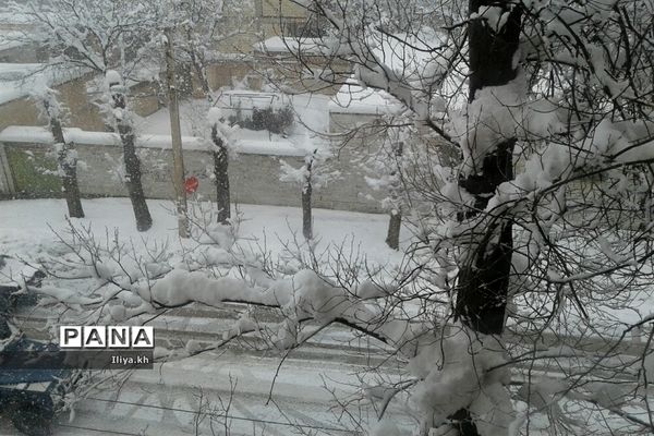 بارش سنگین برف در فارسان