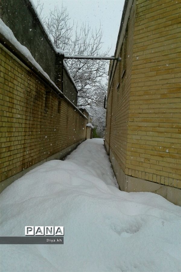 بارش سنگین برف در فارسان