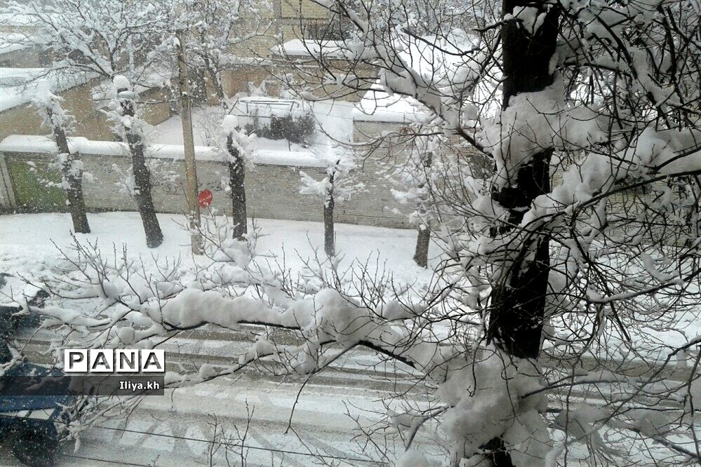 بارش سنگین برف در فارسان
