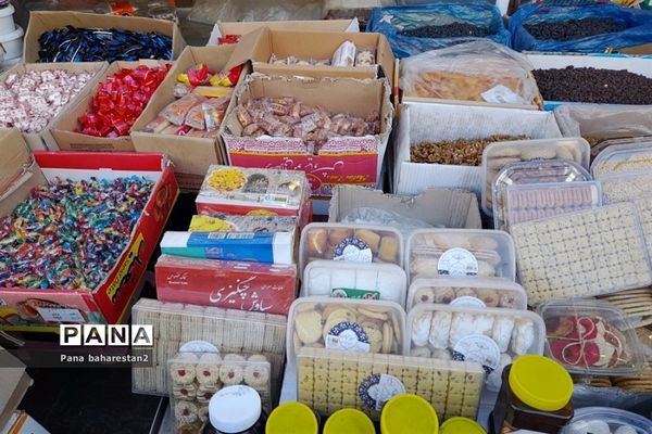 اردوی یک روزه زیارتی دانش‌آموزان دبستان مهرآیین در بهارستان 2