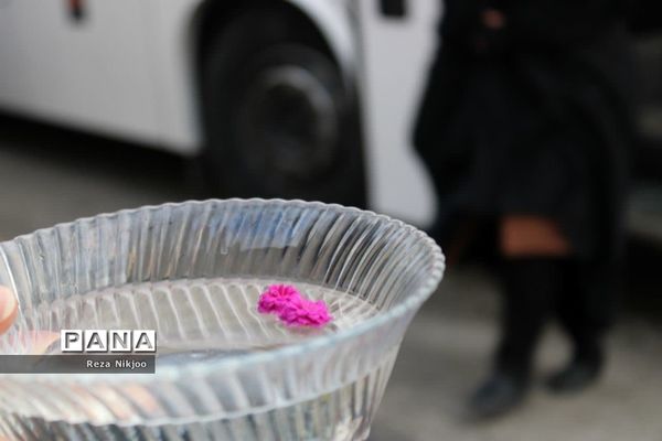 دانش‌آموزان بهارستانی راهی کربلای ایران شدند