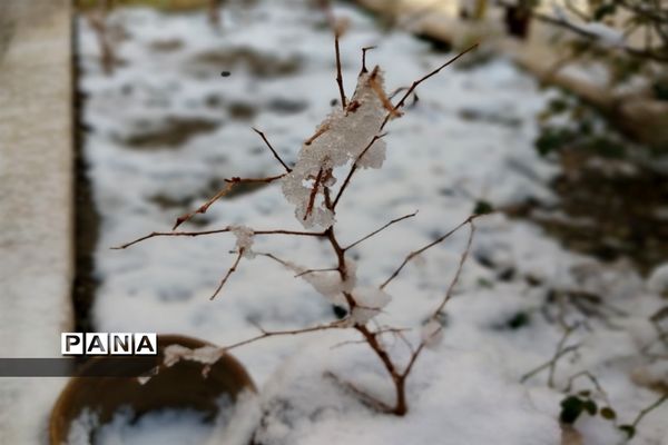 رنگ  سفید برف بر چهره ملارد و صفادشت