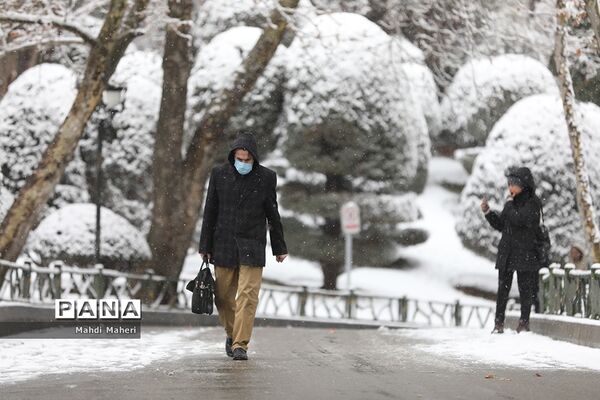 بارش برف زمستانی در تهران