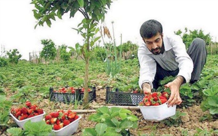 اثرگذاری نیروی انسانی خلاق در اقتصاد در گرو بهبود فضای کسب‌وکار