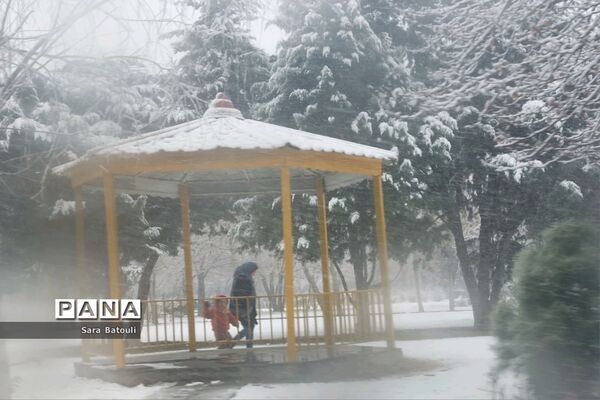 بارش شدید برف تهران را سفیدپوش کرد