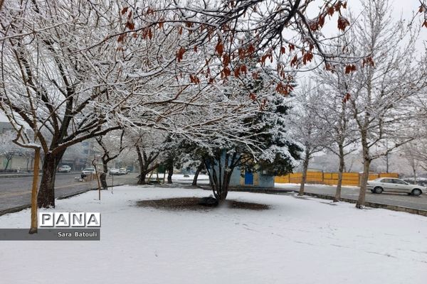بارش شدید برف تهران را سفیدپوش کرد