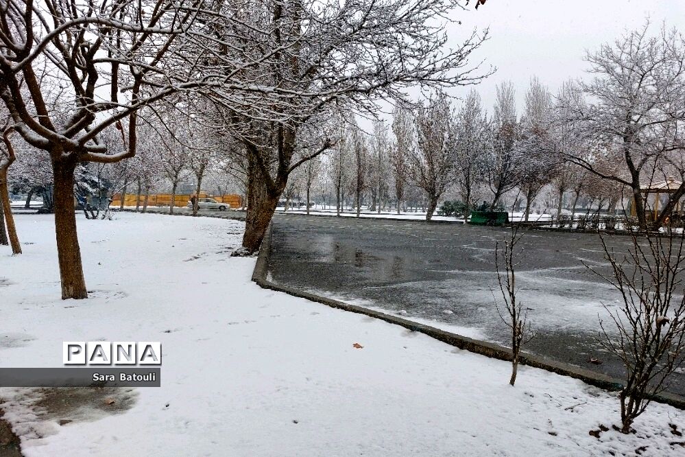 بارش شدید برف تهران را سفیدپوش کرد