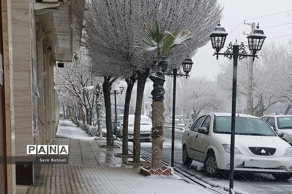 بارش شدید برف تهران را سفیدپوش کرد