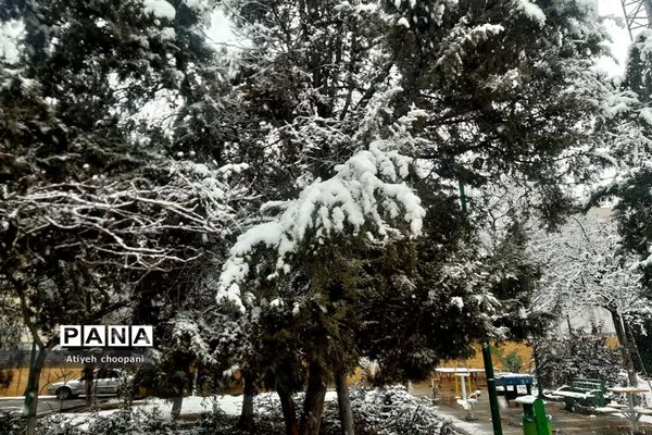 بارش برف تهران را سفید پوش کرد