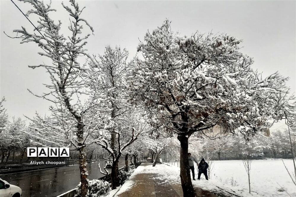 بارش برف تهران را سفید پوش کرد
