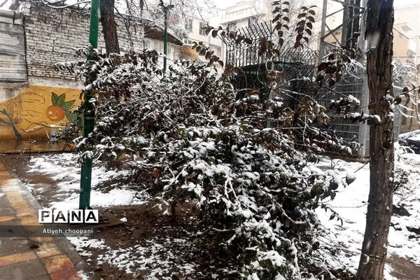 بارش برف تهران را سفید پوش کرد