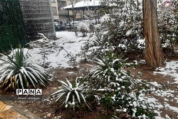 بارش برف تهران را سفید پوش کرد