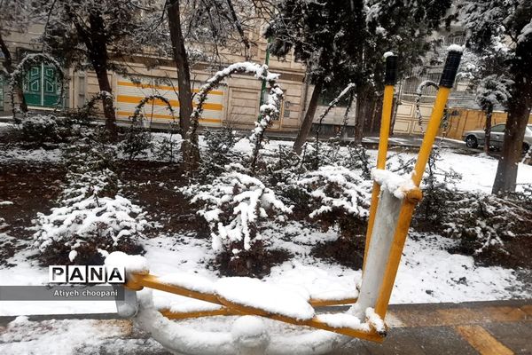 بارش برف تهران را سفید پوش کرد