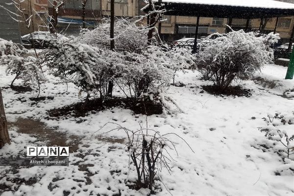 بارش برف تهران را سفید پوش کرد