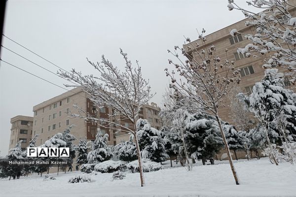بارش شدید برف در تهران