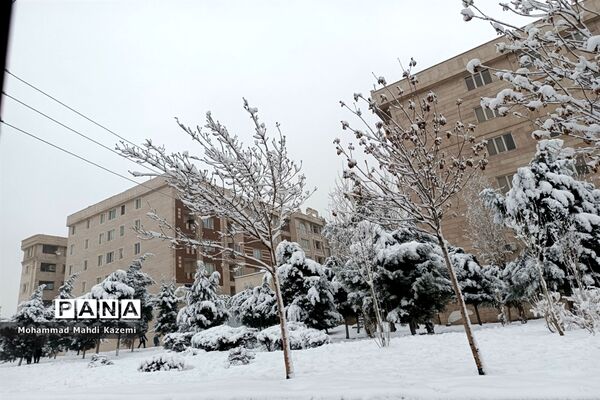 بارش شدید برف در تهران