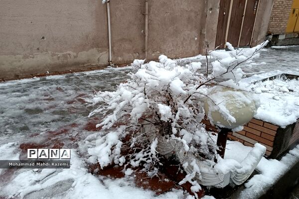 بارش شدید برف در تهران