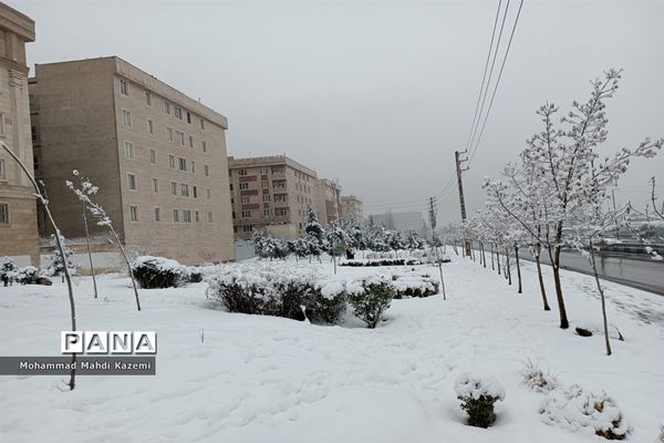 بارش شدید برف در تهران