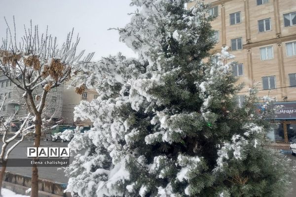 بهارستان سفیدپوش شد