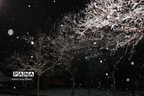 تهران لباس سفید بر تن کرد