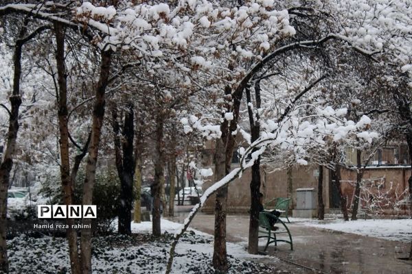 تهران لباس سفید بر تن کرد