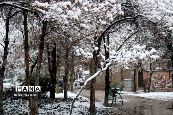 تهران لباس سفید بر تن کرد